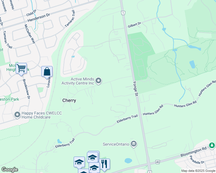 map of restaurants, bars, coffee shops, grocery stores, and more near 107 Ridge Road in Aurora