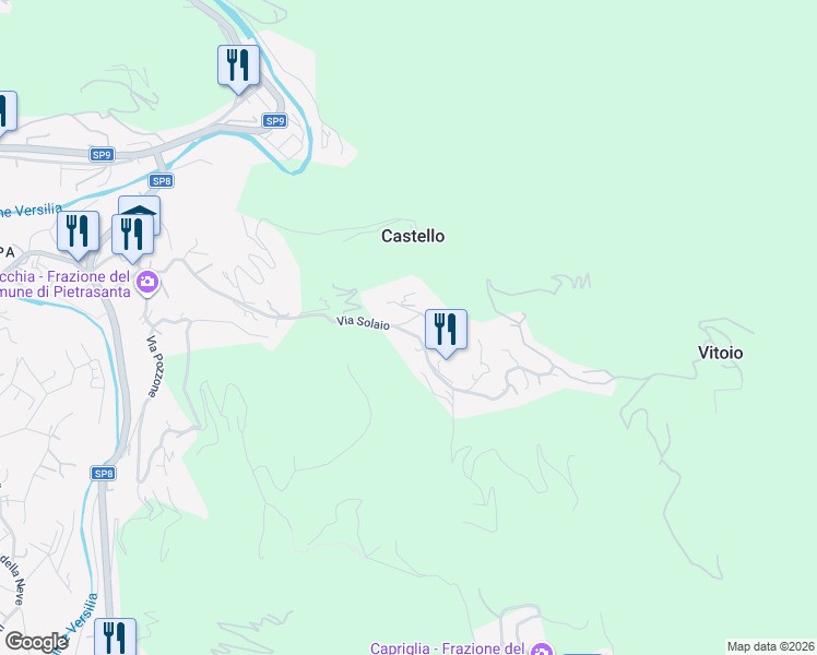 map of restaurants, bars, coffee shops, grocery stores, and more near 76 Via Solaio in Pietrasanta