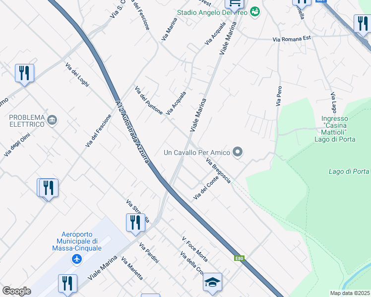 map of restaurants, bars, coffee shops, grocery stores, and more near 132 Viale Marina in Massa