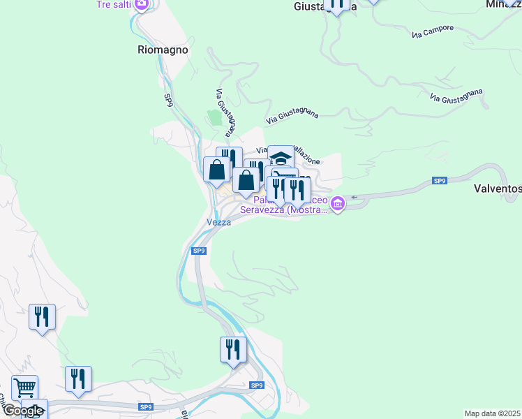 map of restaurants, bars, coffee shops, grocery stores, and more near 11 Viale Leonetto Amadei in Seravezza