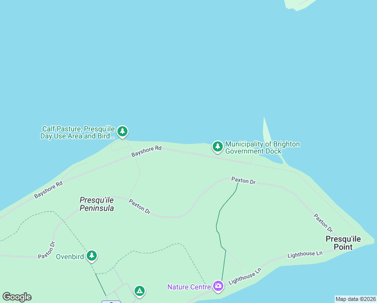 map of restaurants, bars, coffee shops, grocery stores, and more near 58 Bayshore Road in Brighton