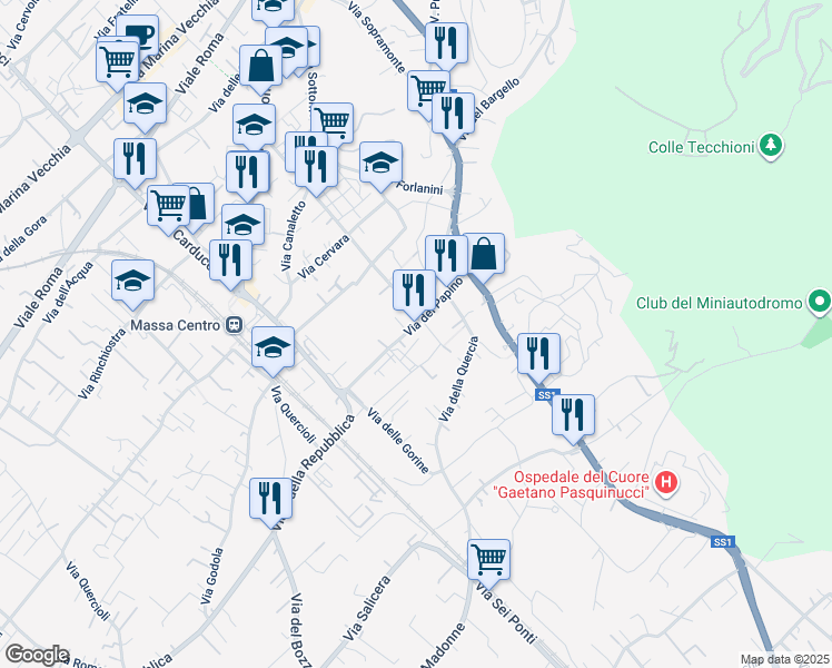 map of restaurants, bars, coffee shops, grocery stores, and more near 13-21 Via del Papino in Massa
