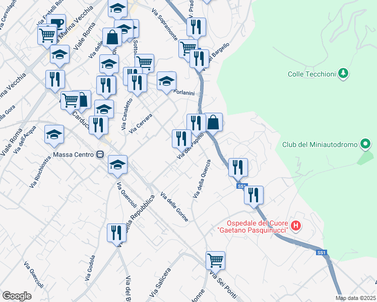 map of restaurants, bars, coffee shops, grocery stores, and more near 21 Via del Papino in Massa