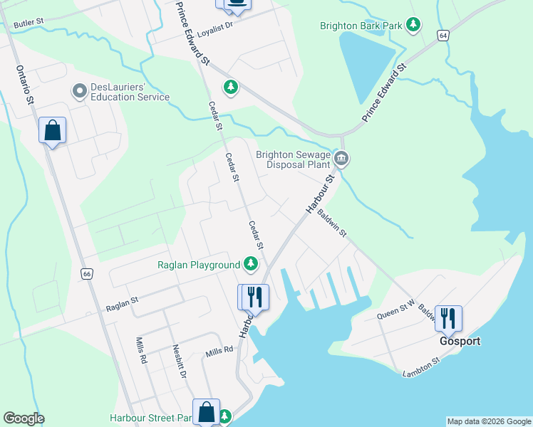 map of restaurants, bars, coffee shops, grocery stores, and more near 6 Birch Court in Brighton