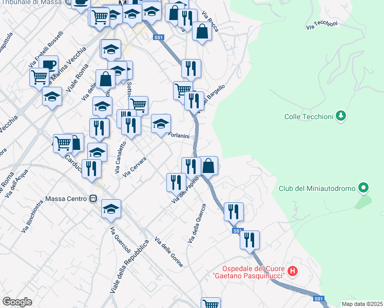 map of restaurants, bars, coffee shops, grocery stores, and more near 1 Via Lazzaro Spallanzani in Massa
