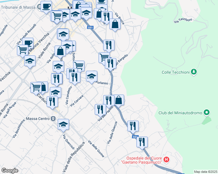 map of restaurants, bars, coffee shops, grocery stores, and more near 1 Via Lazzaro Spallanzani in Massa
