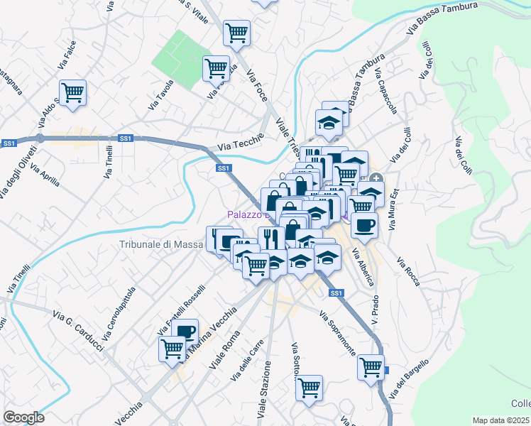 map of restaurants, bars, coffee shops, grocery stores, and more near 31 Viale Giacomo Puccini in Massa
