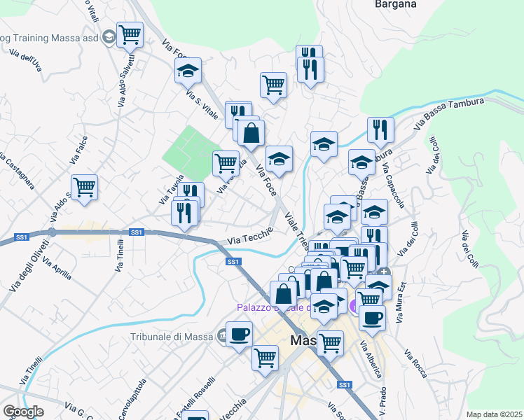 map of restaurants, bars, coffee shops, grocery stores, and more near 211 Viale delle Medaglie d'Oro in Massa