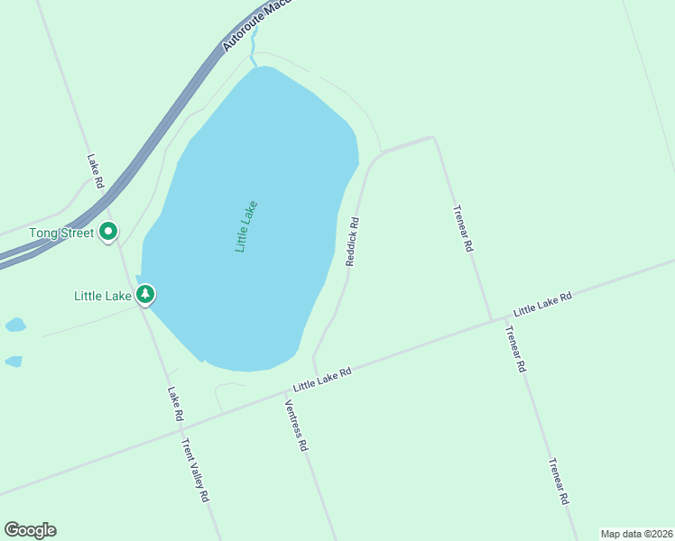 map of restaurants, bars, coffee shops, grocery stores, and more near 50 Reddick Road in Brighton