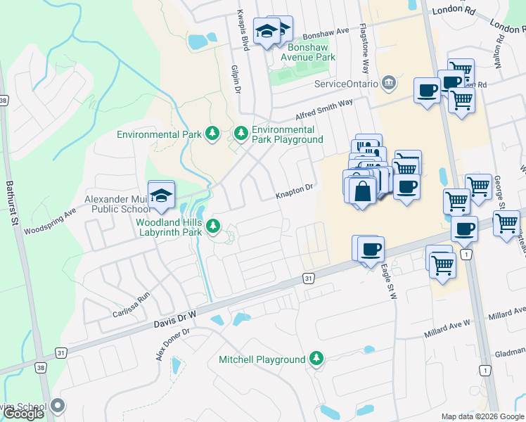 map of restaurants, bars, coffee shops, grocery stores, and more near 185 Tango Crescent in Newmarket