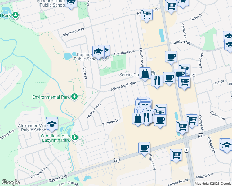 map of restaurants, bars, coffee shops, grocery stores, and more near 245 Knapton Drive in Newmarket
