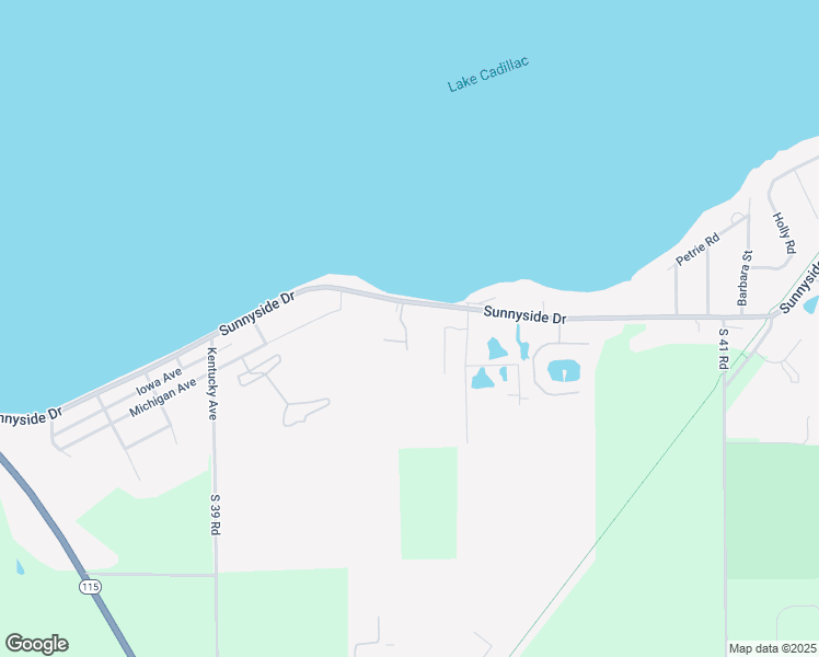 map of restaurants, bars, coffee shops, grocery stores, and more near Roosevelt in Cadillac