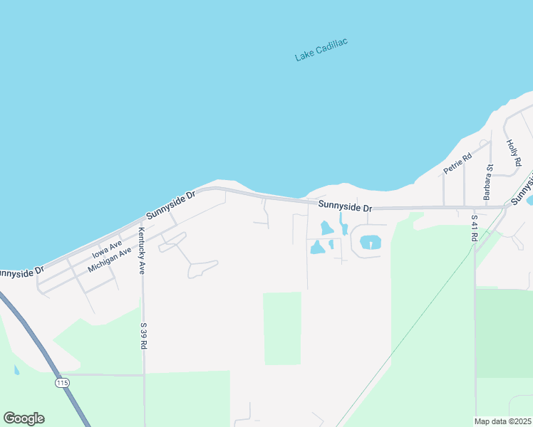 map of restaurants, bars, coffee shops, grocery stores, and more near Roosevelt in Cadillac