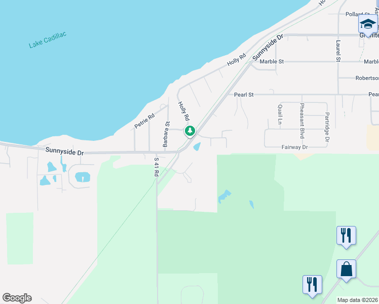 map of restaurants, bars, coffee shops, grocery stores, and more near 501-999 Matthew Dr in Cadillac