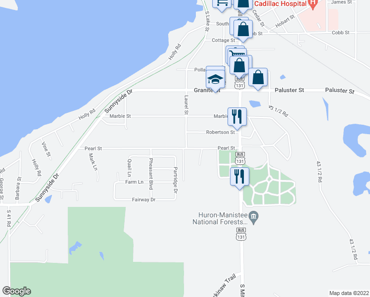 map of restaurants, bars, coffee shops, grocery stores, and more near 340 Pearl Street in Cadillac