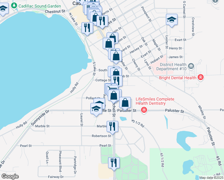 map of restaurants, bars, coffee shops, grocery stores, and more near 836 South Mitchell Street in Cadillac
