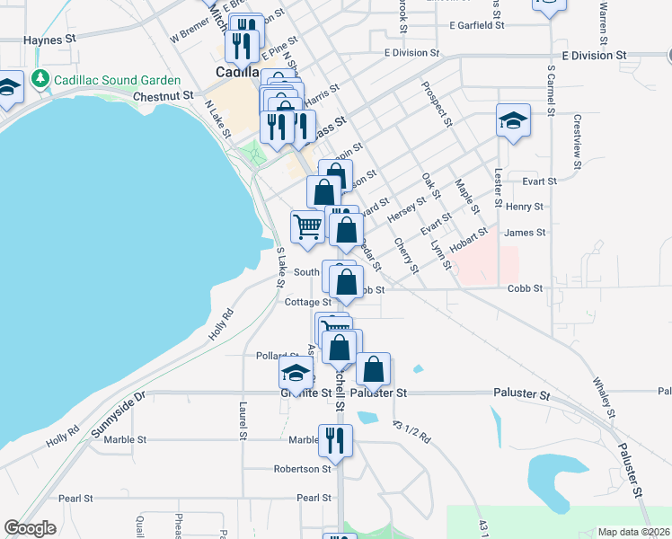 map of restaurants, bars, coffee shops, grocery stores, and more near 614 South Mitchell Street in Cadillac