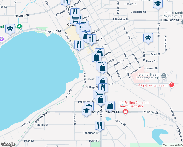 map of restaurants, bars, coffee shops, grocery stores, and more near 602 South Mitchell Street in Cadillac