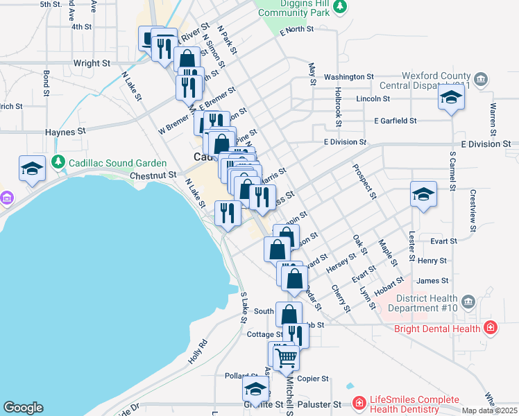 map of restaurants, bars, coffee shops, grocery stores, and more near 123 South Mitchell Street in Cadillac