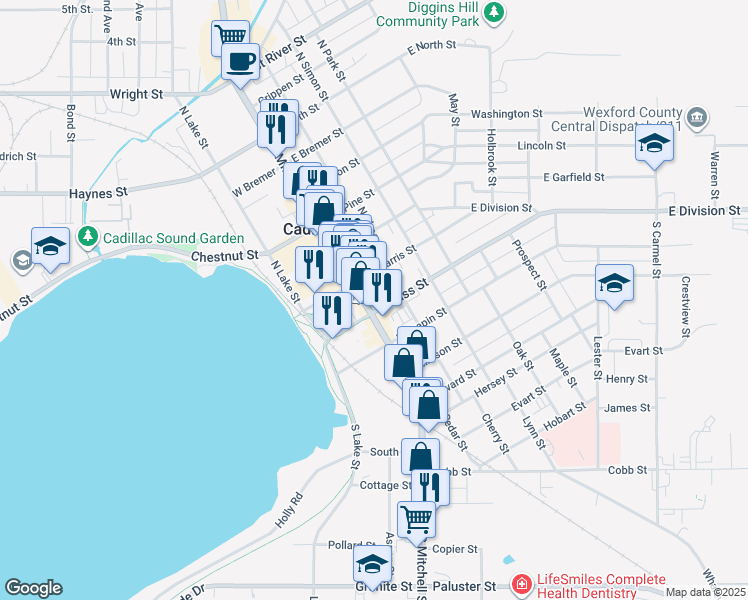 map of restaurants, bars, coffee shops, grocery stores, and more near 119 South Mitchell Street in Cadillac