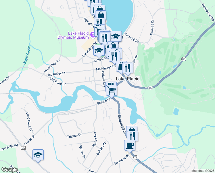 map of restaurants, bars, coffee shops, grocery stores, and more near 397 Mill Pond Drive in Lake Placid