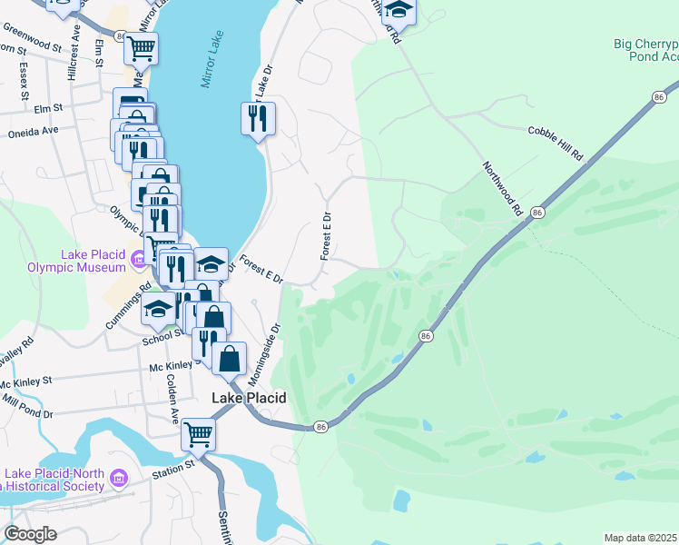 map of restaurants, bars, coffee shops, grocery stores, and more near Adirondack Park in Lake Placid