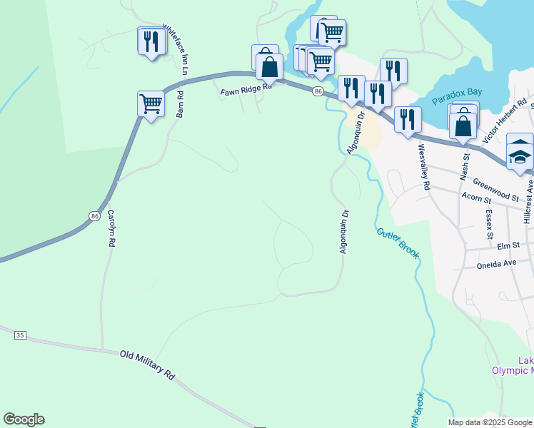 map of restaurants, bars, coffee shops, grocery stores, and more near 241 Algonquin Dr in Lake Placid