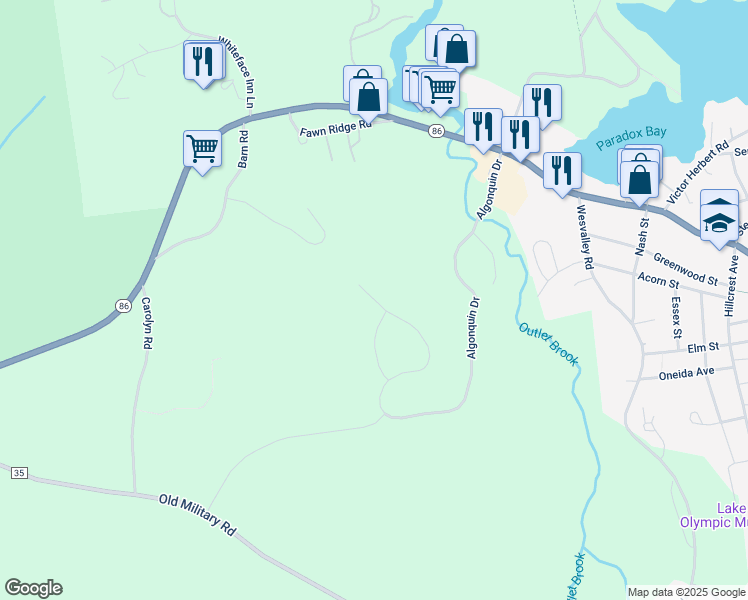 map of restaurants, bars, coffee shops, grocery stores, and more near 241 Algonquin Dr in Lake Placid