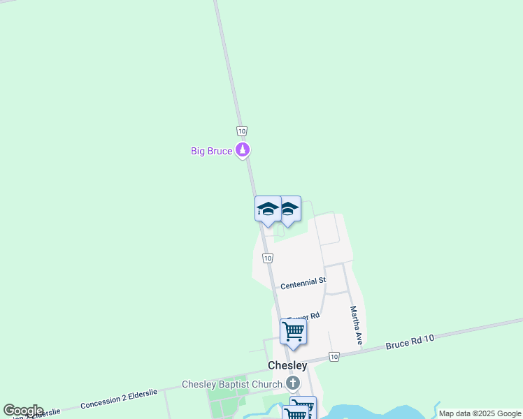 map of restaurants, bars, coffee shops, grocery stores, and more near 351 Bruce Road 10 in Chesley