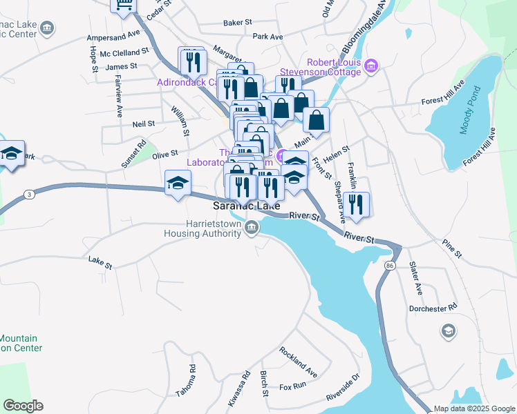 map of restaurants, bars, coffee shops, grocery stores, and more near 2 Saint Bernard Street in Saranac Lake