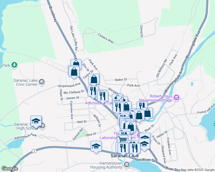 map of restaurants, bars, coffee shops, grocery stores, and more near 110 Park Avenue in Saranac Lake