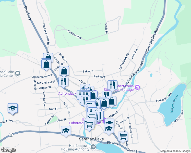 map of restaurants, bars, coffee shops, grocery stores, and more near 170 Park Avenue in Saranac Lake
