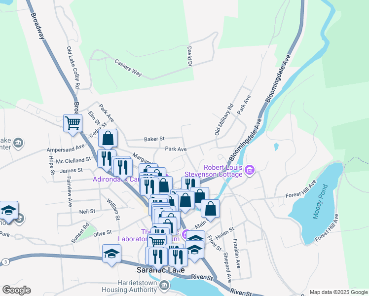 map of restaurants, bars, coffee shops, grocery stores, and more near 22 Catherine Street in Saranac Lake