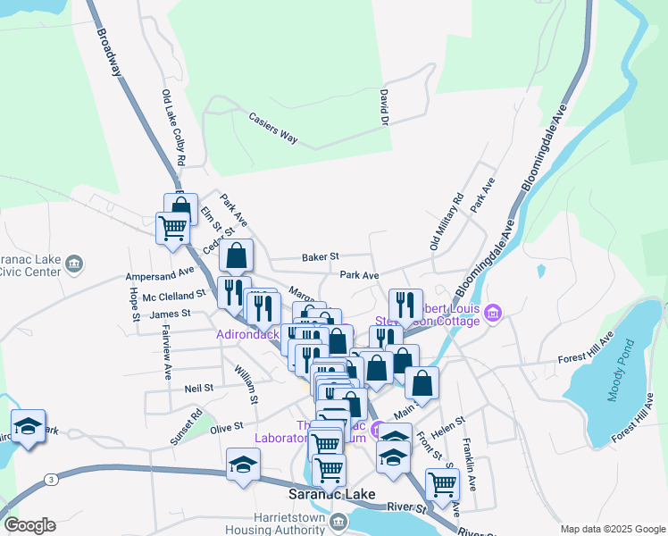 map of restaurants, bars, coffee shops, grocery stores, and more near 164-172 Park Avenue in Saranac Lake