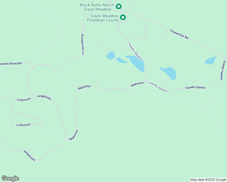 map of restaurants, bars, coffee shops, grocery stores, and more near 70368 Mahonia in Sisters