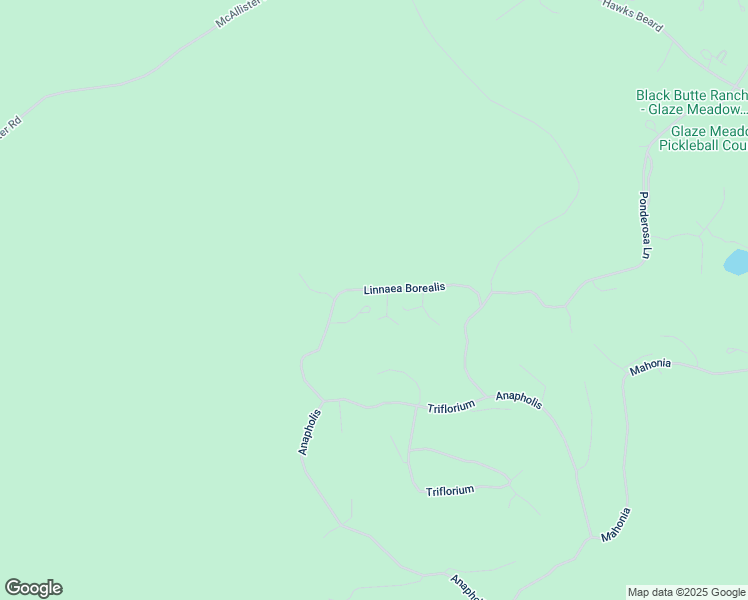 map of restaurants, bars, coffee shops, grocery stores, and more near 70402 Linnaea Borealis in Sisters