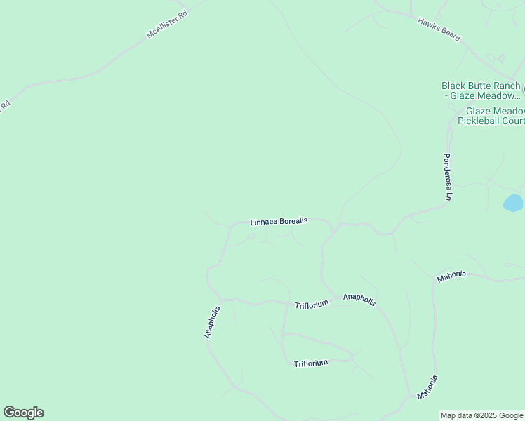 map of restaurants, bars, coffee shops, grocery stores, and more near 70402 Linnaea Borealis in Sisters