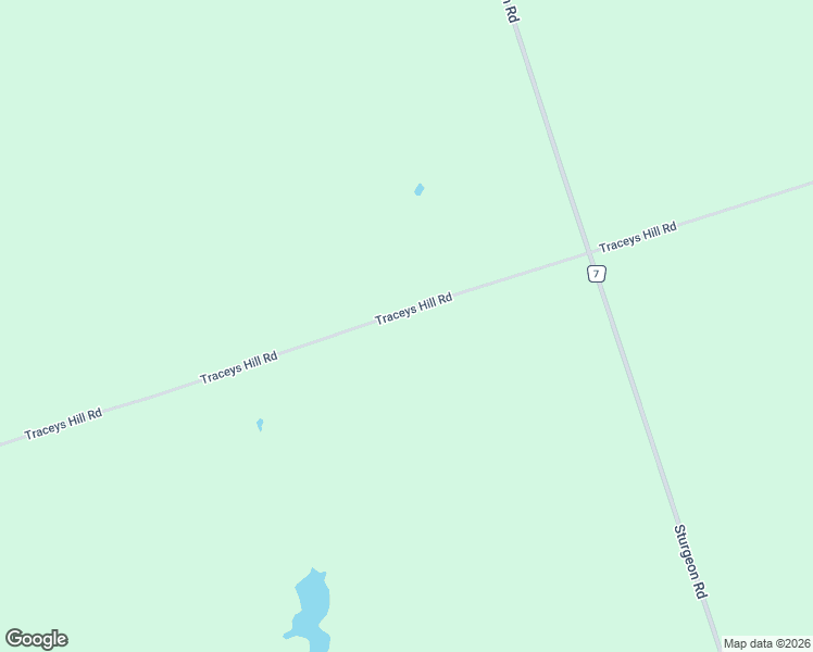 map of restaurants, bars, coffee shops, grocery stores, and more near 838 Traceys Hill Road in Kawartha Lakes