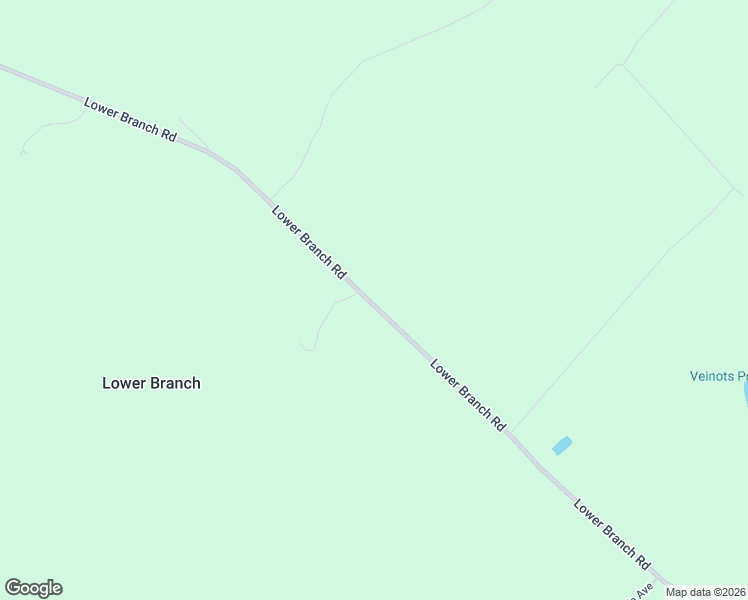 map of restaurants, bars, coffee shops, grocery stores, and more near 402 Lower Branch Road in Lower Branch