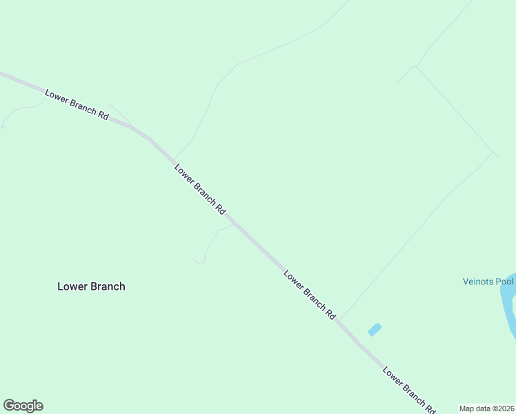 map of restaurants, bars, coffee shops, grocery stores, and more near 402 Lower Branch Road in Lower Branch