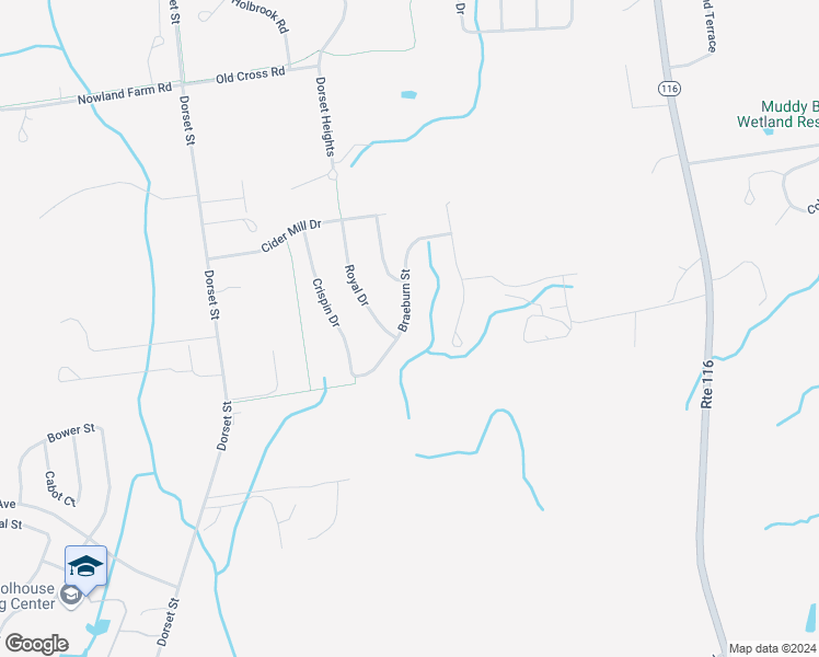map of restaurants, bars, coffee shops, grocery stores, and more near 156 Braeburn Street in South Burlington