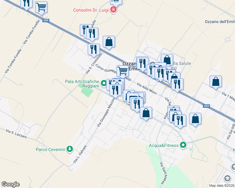 map of restaurants, bars, coffee shops, grocery stores, and more near 8 Via Giacomo Leopardi in Ozzano dell'Emilia