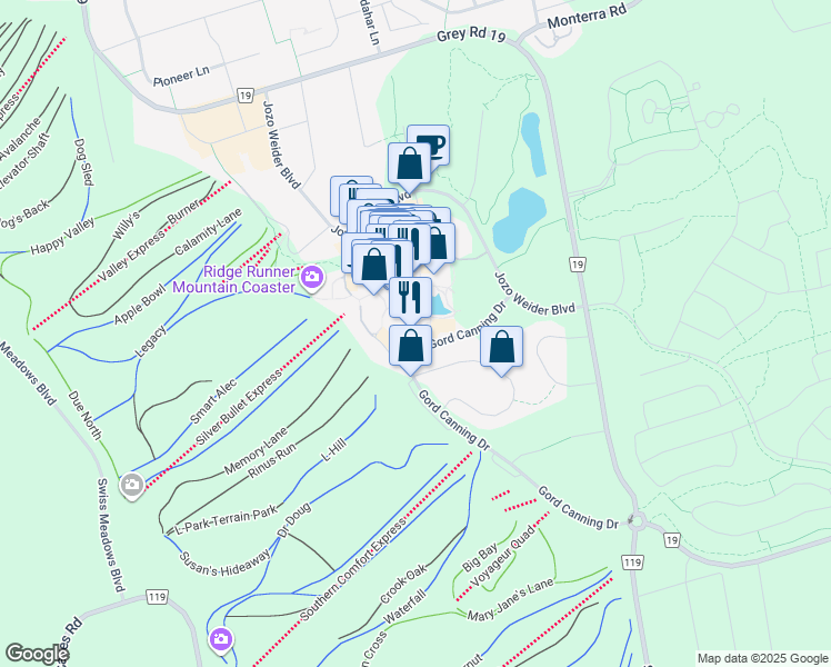 map of restaurants, bars, coffee shops, grocery stores, and more near 220 Gord Canning Drive in Grey County
