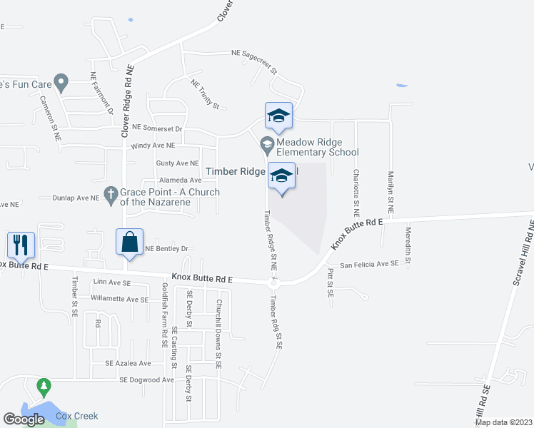 map of restaurants, bars, coffee shops, grocery stores, and more near Timber Ridge Street Northeast in Albany