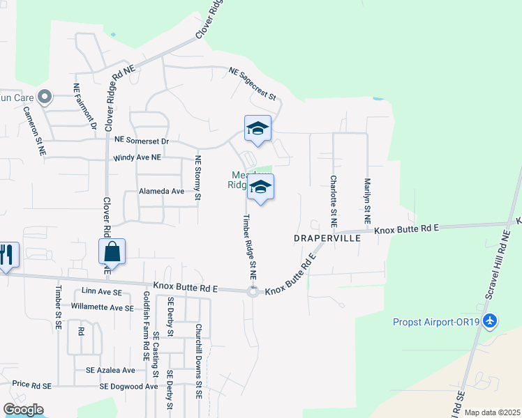 map of restaurants, bars, coffee shops, grocery stores, and more near 373 Timber Ridge Street Northeast in Albany