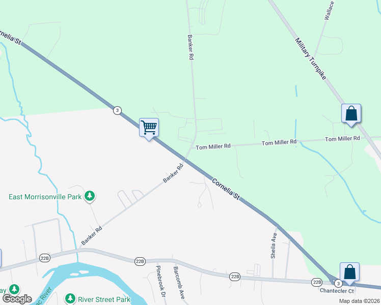 map of restaurants, bars, coffee shops, grocery stores, and more near Cornelia St in Plattsburgh