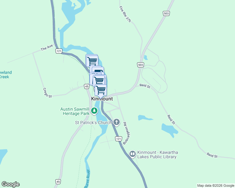 Kinmount Map 2 Haliburton County Road 503, Trent Lakes ON - Walk Score