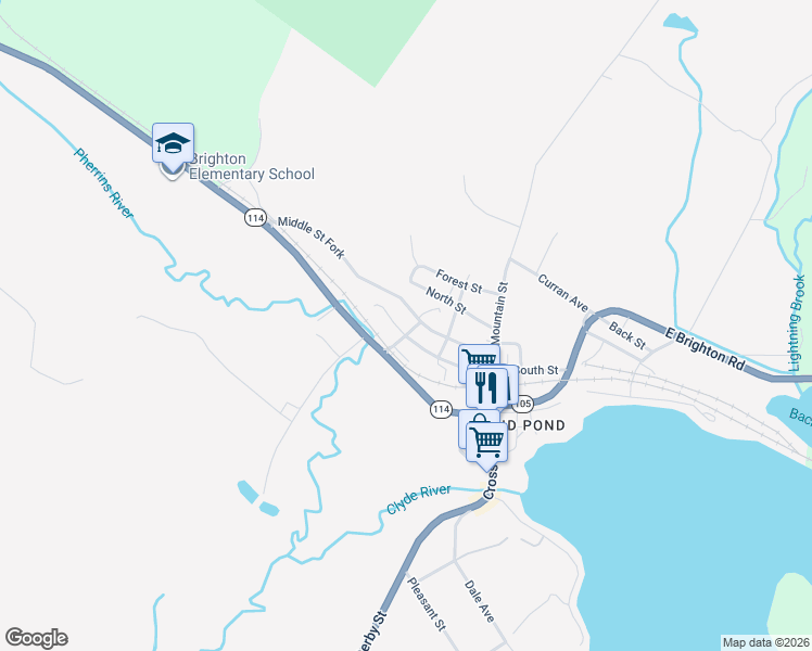 map of restaurants, bars, coffee shops, grocery stores, and more near 313 South Street in Brighton