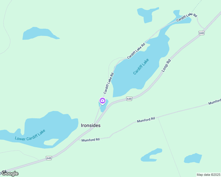 map of restaurants, bars, coffee shops, grocery stores, and more near 1090 Cardiff Lake Road in Harcourt