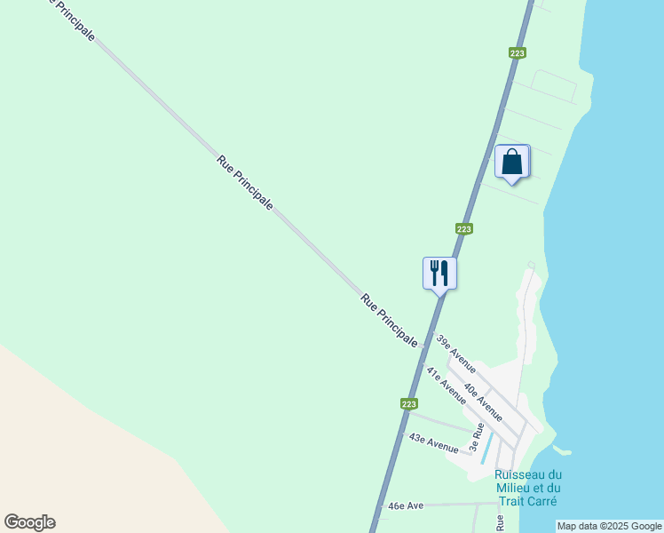 319 Rue Principale, SaintBlaisesurRichelieu QC Walk Score